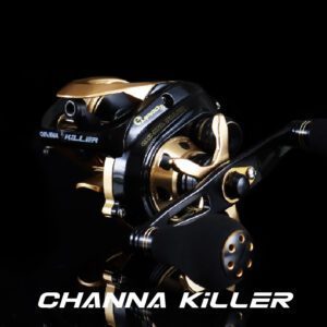 Channa Killer-main