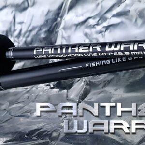 panther-warrior-2033