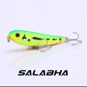 Salabha_08
