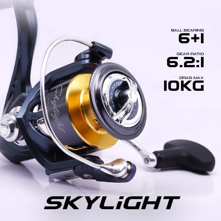 Skylight_01