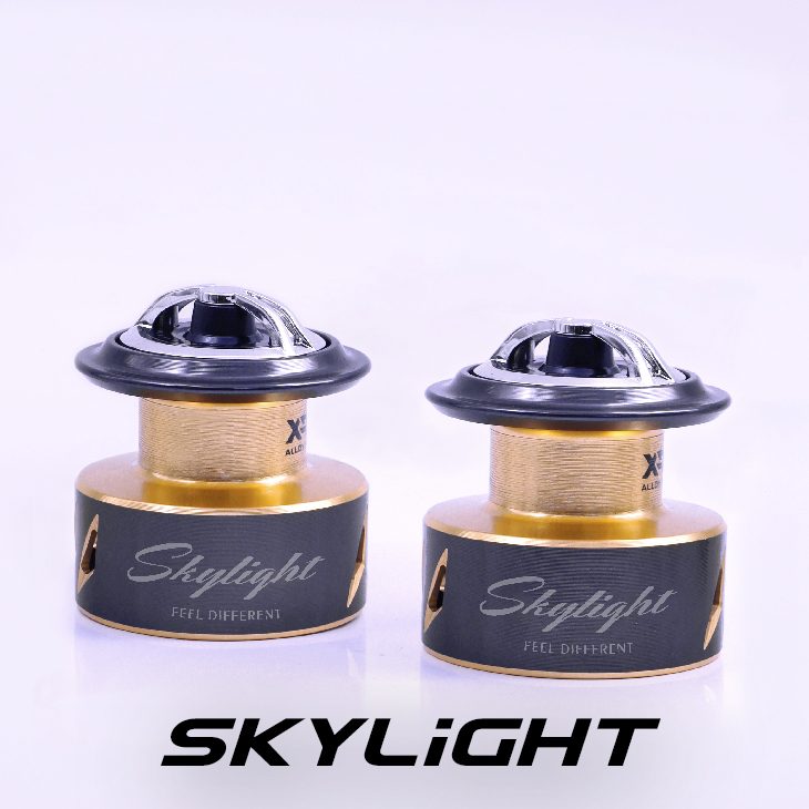 Skylight_02