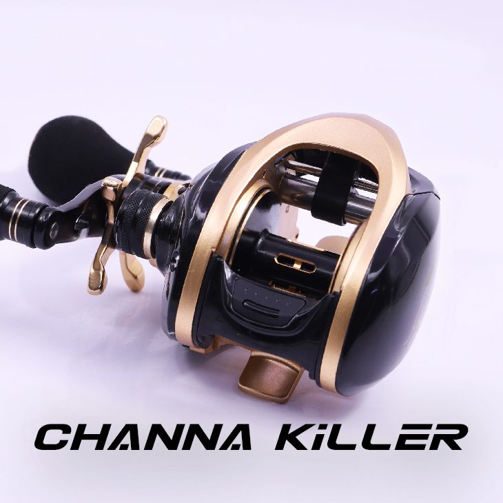 Channa Killer_02