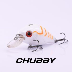 Chubby_65