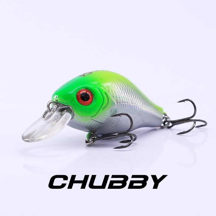 Chubby_81