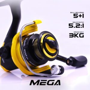 Mega_01