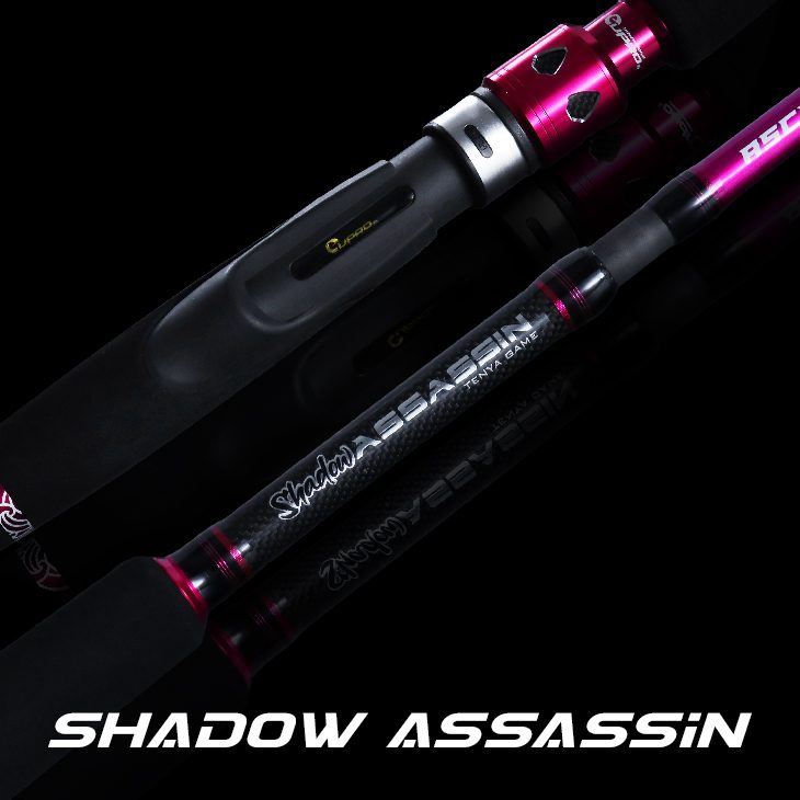Shadow Assassin__01