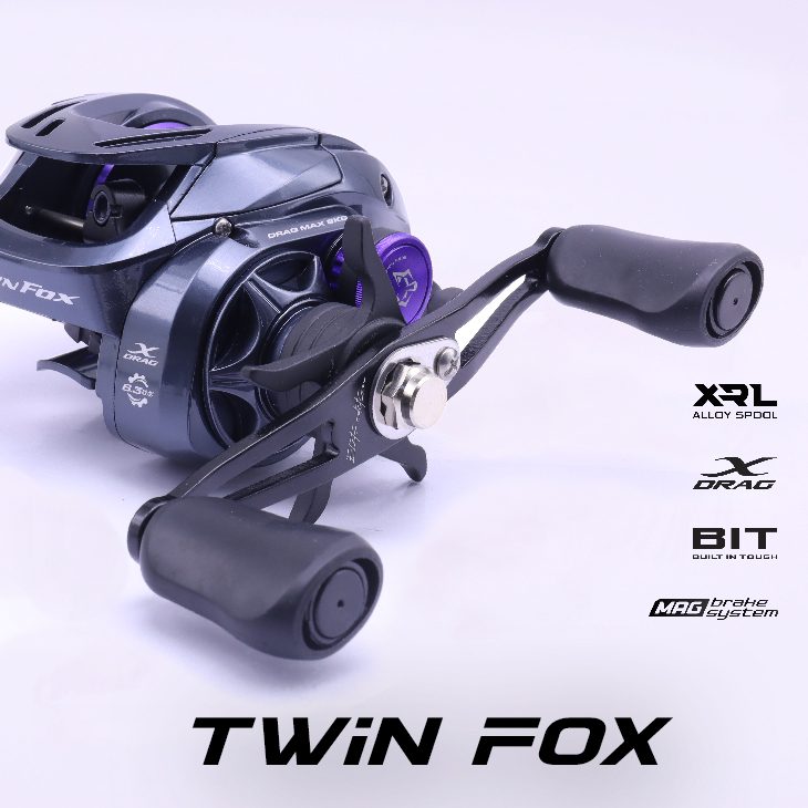 Twin Fox_03