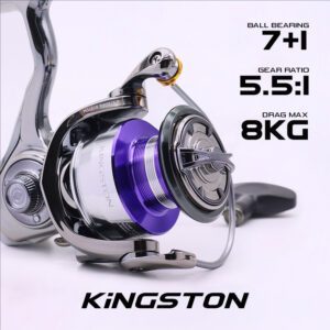 Kingston_02