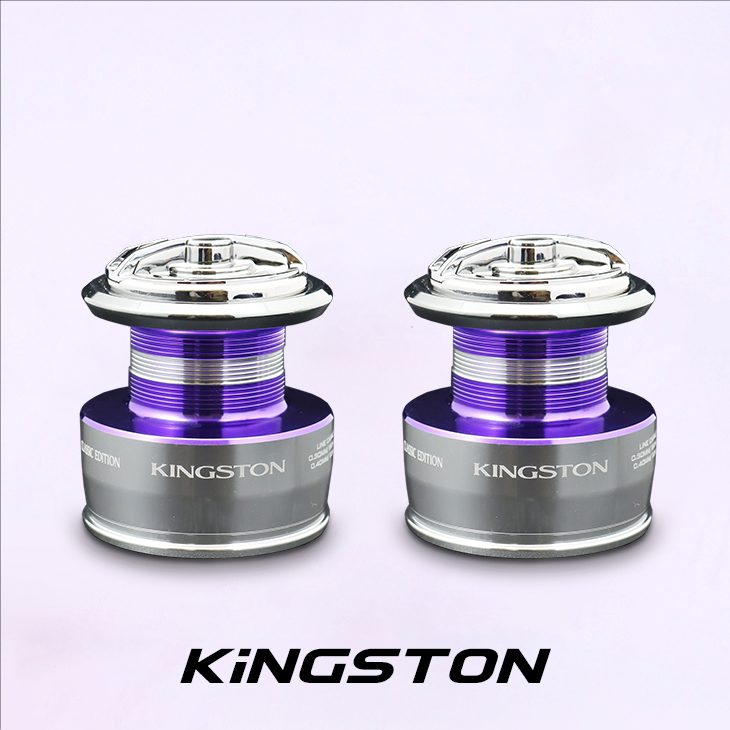 Kingston_04