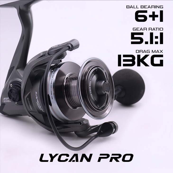 Lycon Pro_02