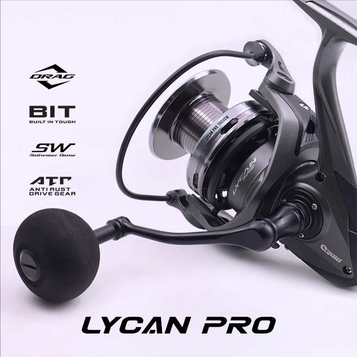 Lycon Pro_04
