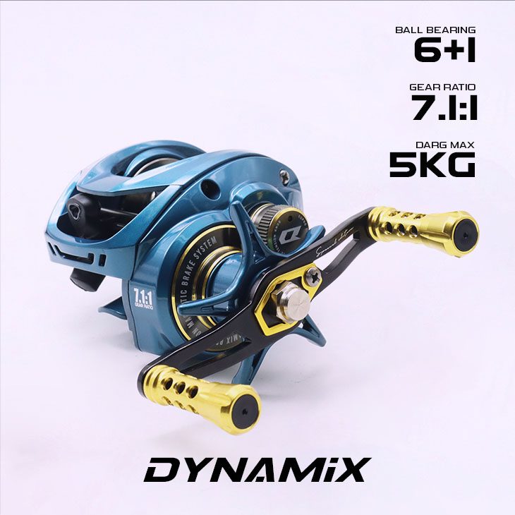 Dynamix_02